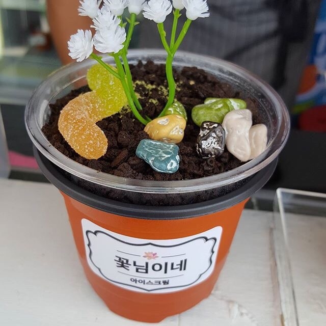 行星饭；韩国釜山南浦洞的盆栽冰淇淋 少女心爆棚