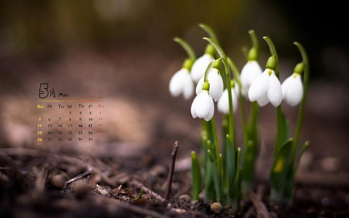 2013年5月日历高清桌面壁纸