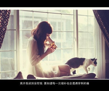 我们从没有忘记过真相，只是我们越来越会说谎