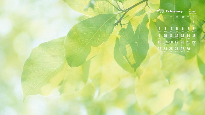 2014年2月月历桌面壁纸