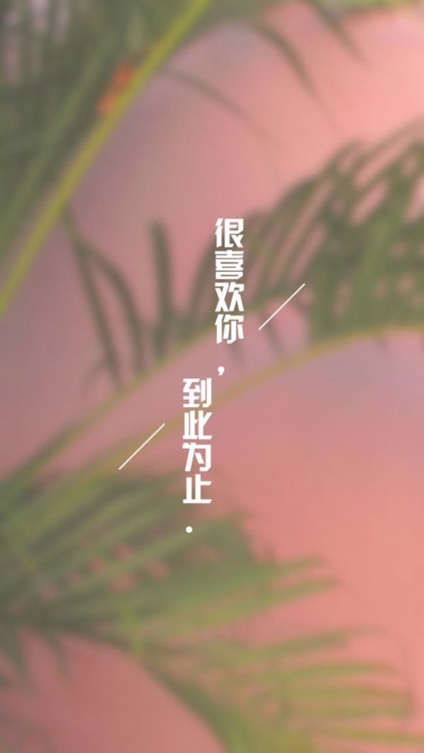 很喜欢你，到此为止！