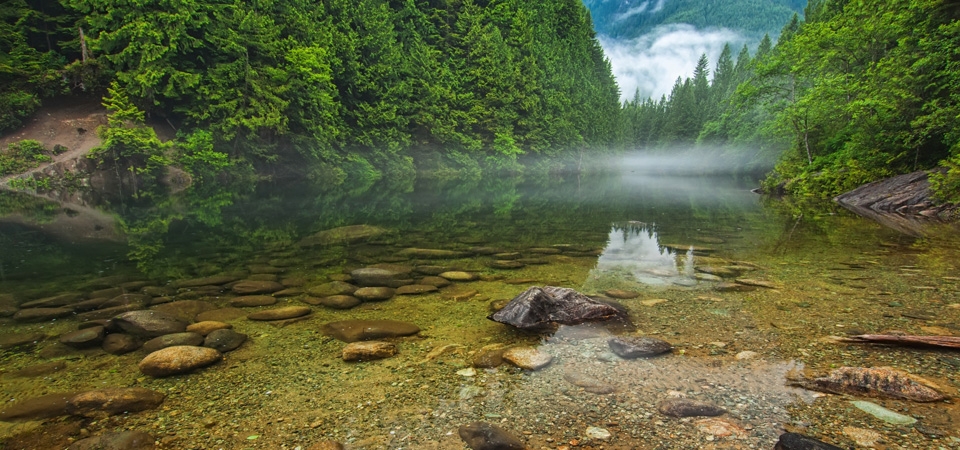 加拿大不列颠哥伦比亚省，山水风景，河流，森林图片，桌面壁纸