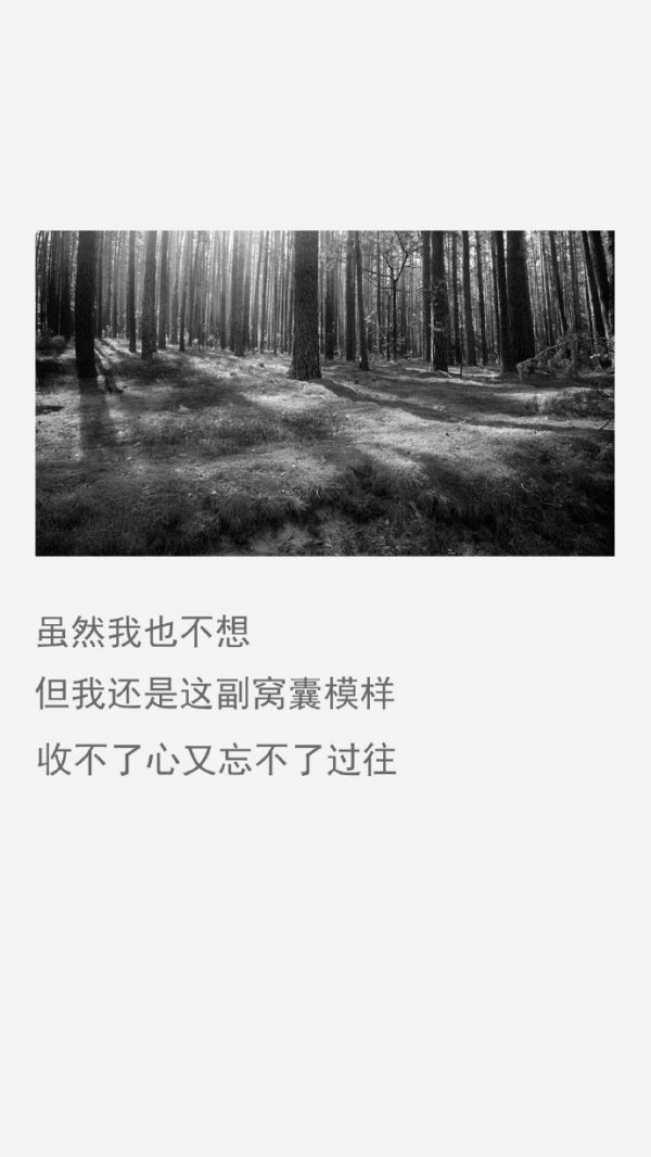 伤感爱情文字图片 ​​​​