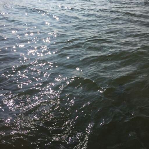 不弃  鬼畜先聲［海水冰］