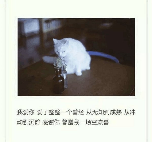 人们都说故事与酒更配，却不知这样更容易让人落泪
