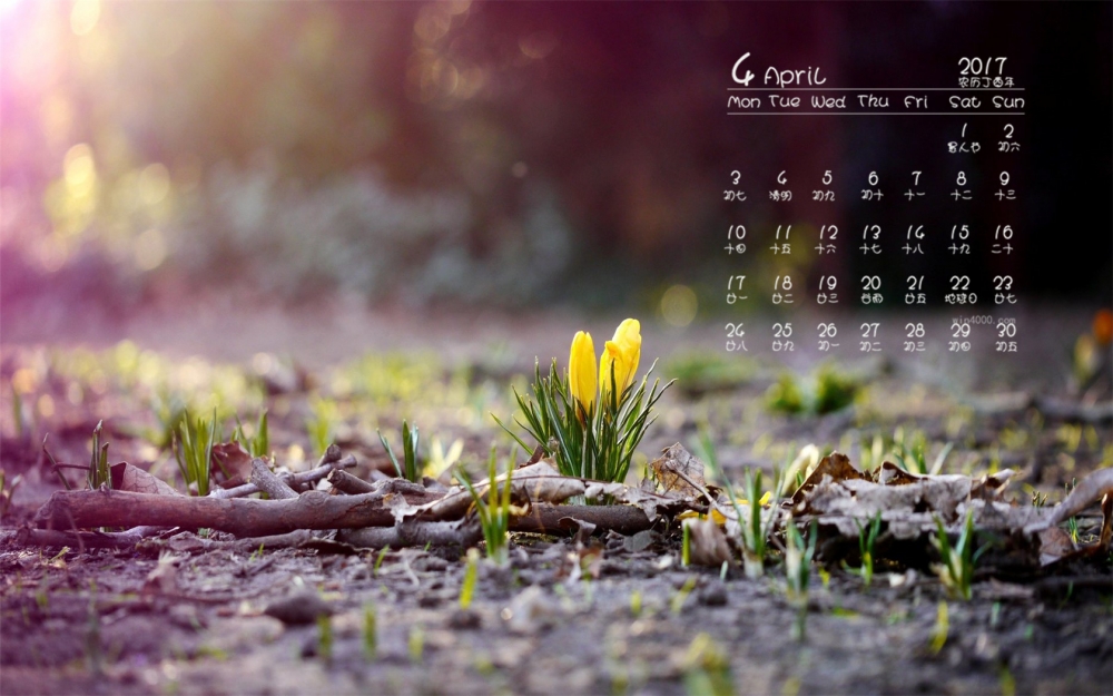 2017年4月绿色小清新电脑日历壁纸