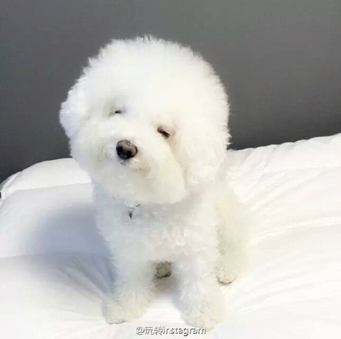 萌萌哒~~~~~