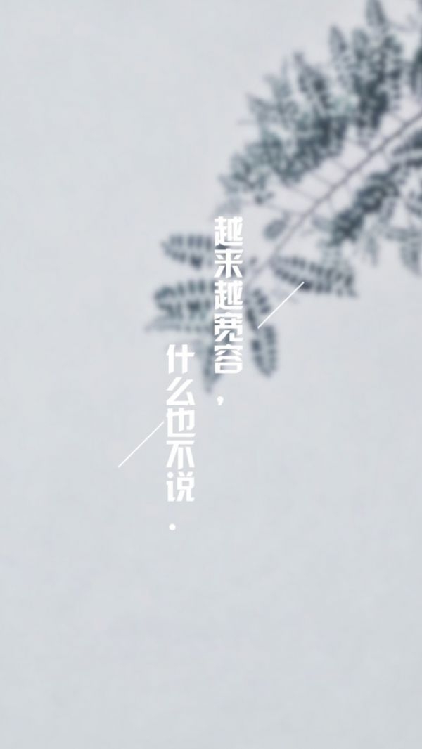 很喜欢你，到此为止！