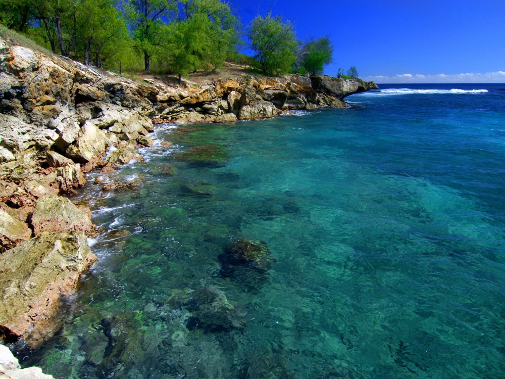 夏威夷海滨 第二辑