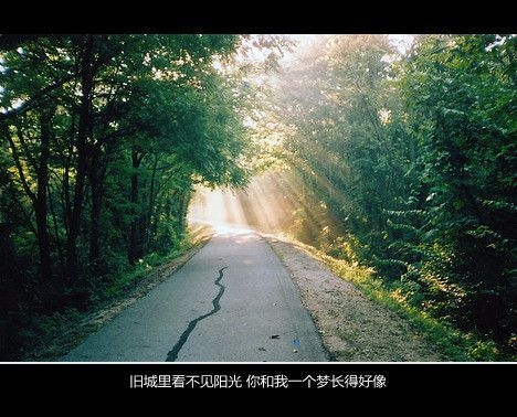 我们从没有忘记过真相，只是我们越来越会说谎