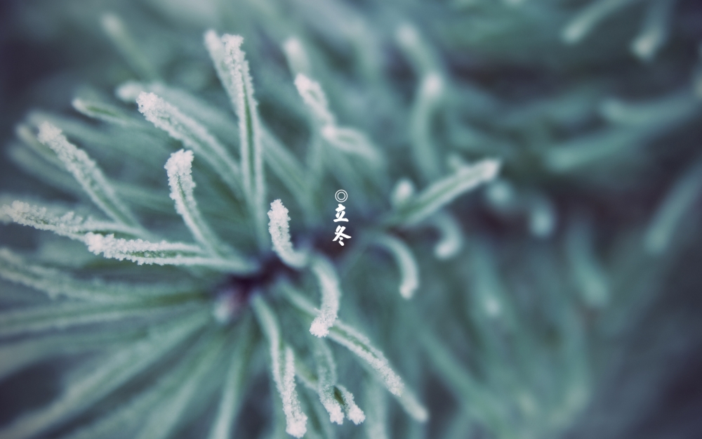 24节气之立冬