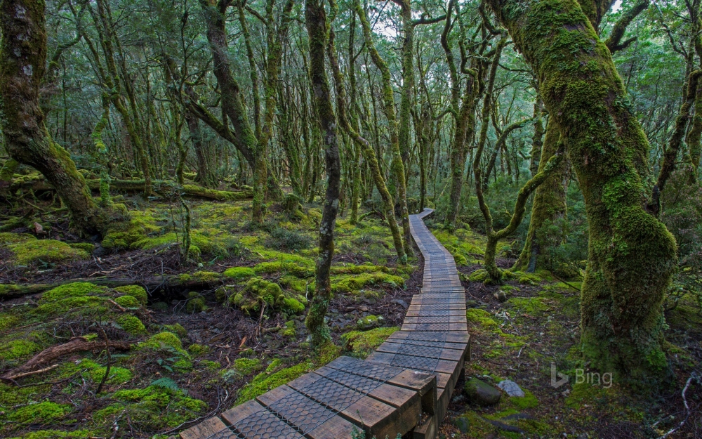 必应bing官方桌面风景壁纸