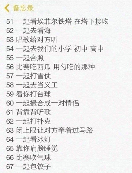 想和王文丽做的100件事