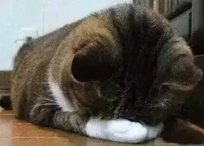这是我们上学标准的睡姿