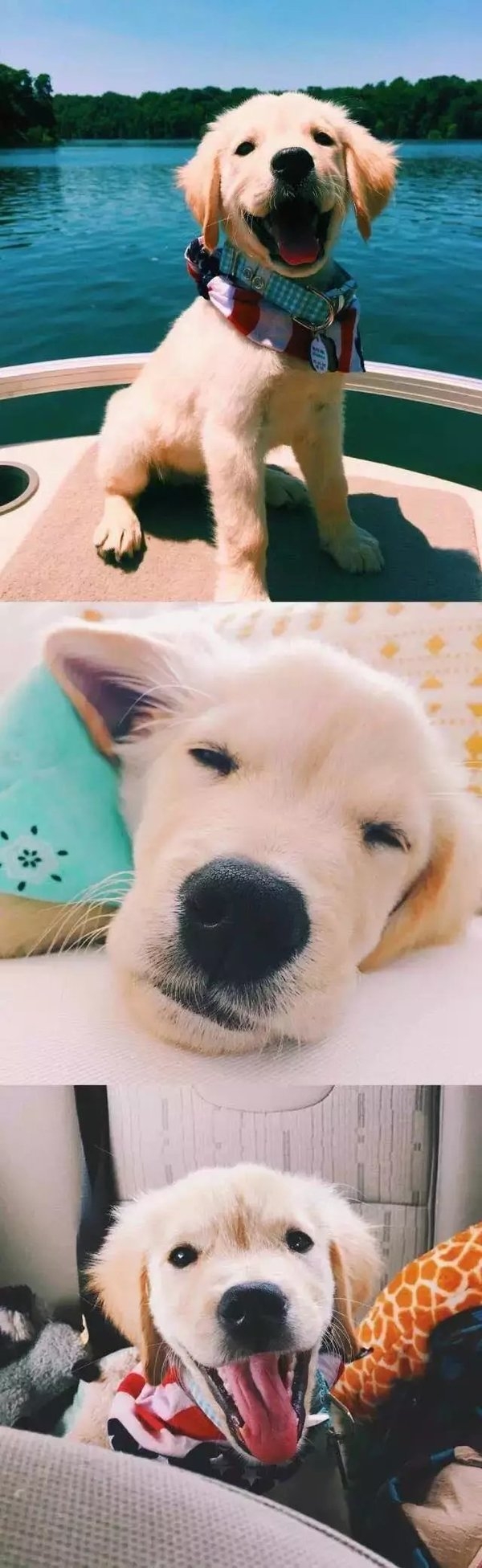 萌萌哒~~~~~