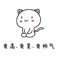2017新的一年 愿你温柔得到善待 深情不被辜负.