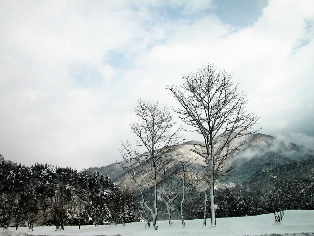 雪山天空 第一辑