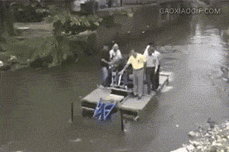 新一波爆笑GIF 别再给我安利了