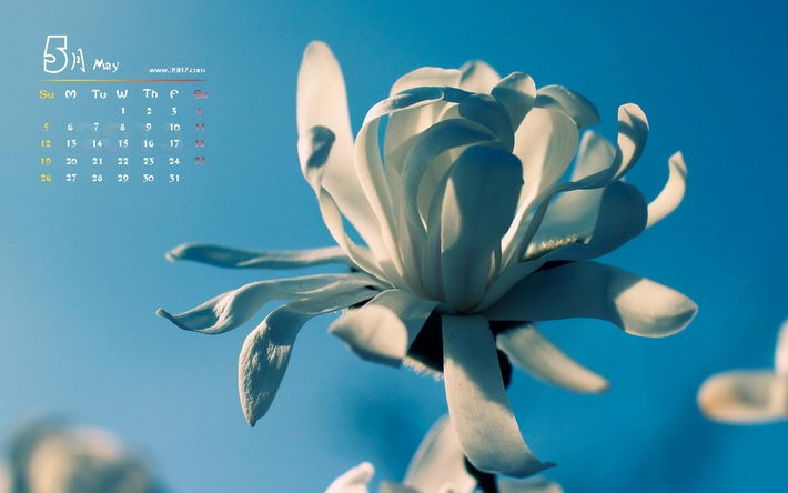 2013年5月日历高清桌面壁纸