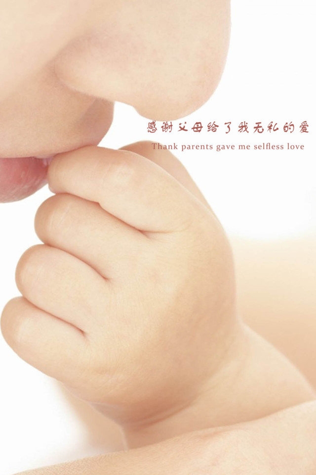 感恩节纯色主题高清手机壁纸