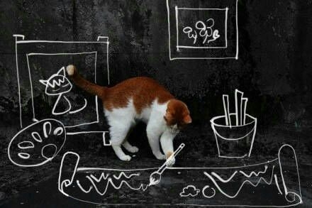 猫咪狂想曲 ​ ​​​