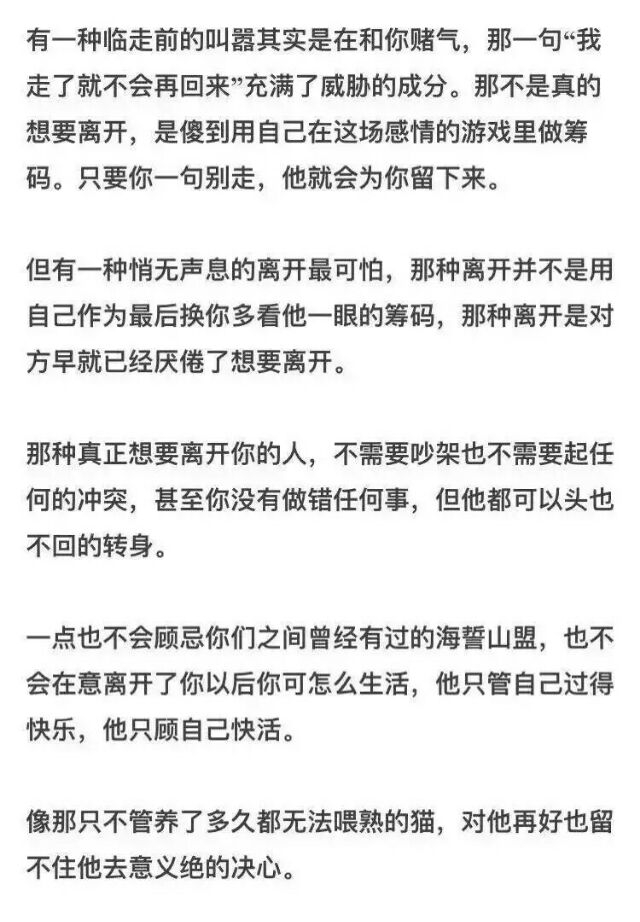 猫是喂不熟的 而你也是 我是舍不得说再见的 但你不是