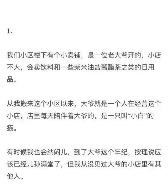 猫是喂不熟的 而你也是 我是舍不得说再见的 但你不是