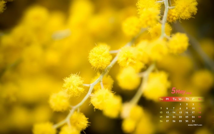2013年5月日历高清桌面壁纸