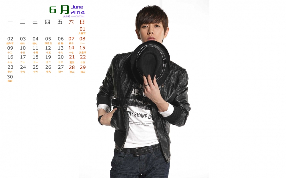 2014年6月日历桌面壁纸 Doctor异乡人 帅气韩国男星朴海镇高清写真图片