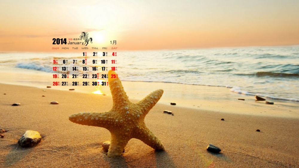 2014年1月电脑壁纸之浪漫爱情沙滩日历