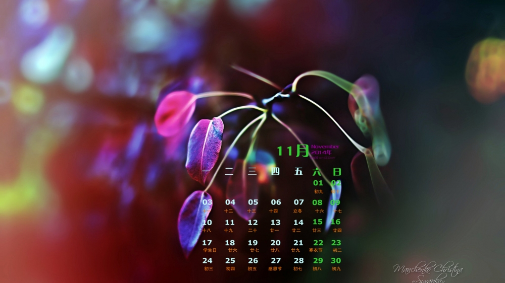 2014年11月日历唯美另类植物摄影桌面壁纸图片下载
