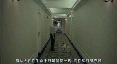 九句道理都懂却无法释怀的台词，触动心弦