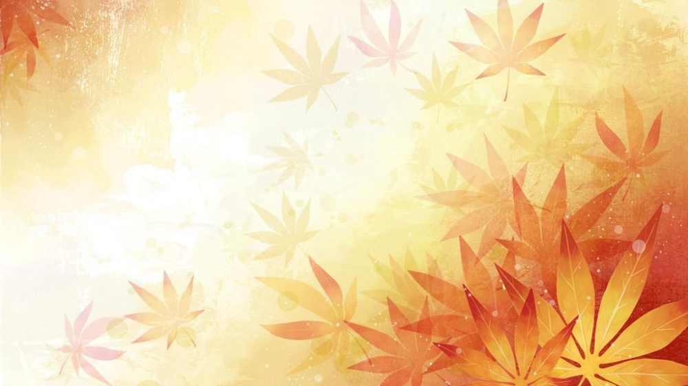 炫彩花草植物背景