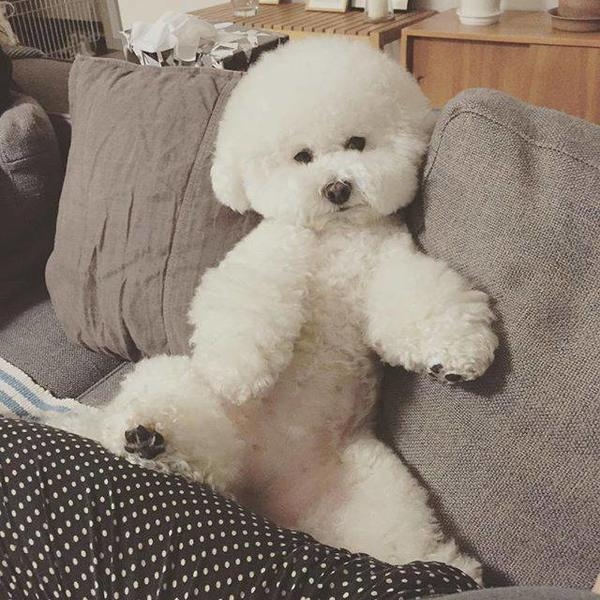 萌萌哒~~~~~