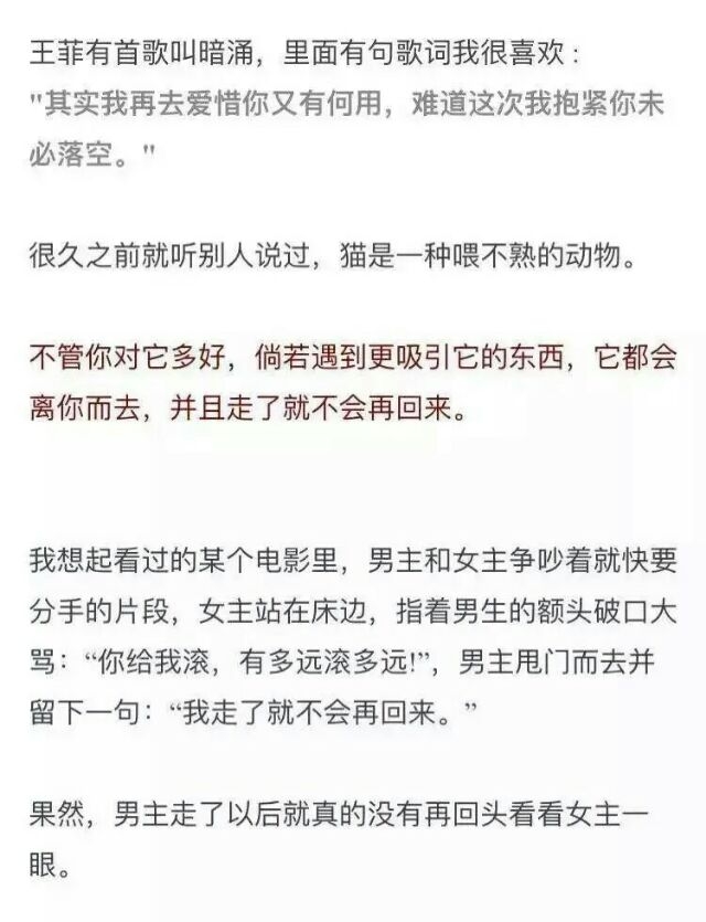 猫是喂不熟的 而你也是 我是舍不得说再见的 但你不是