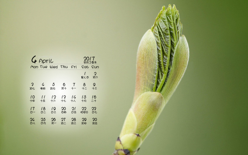 2017年4月绿色小清新电脑日历壁纸