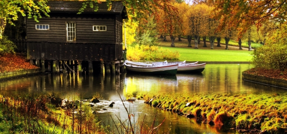 森林，秋天，河流，房屋，树木，自然风景桌面壁纸