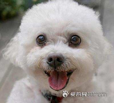 萌萌哒~~~~~
