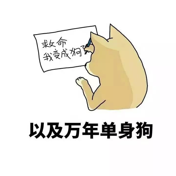 这就是我目前的状态