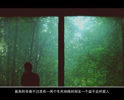我们从没有忘记过真相，只是我们越来越会说谎