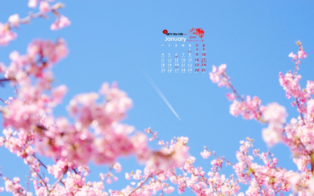 2016年1月日历花海桌面壁纸下载4