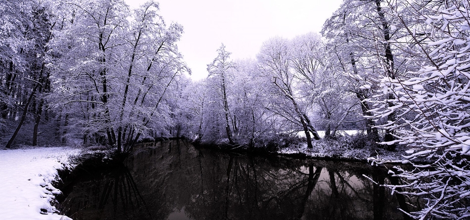 冬天,自然,森林,河流,雪,树木,倒映,美景,桌面壁纸