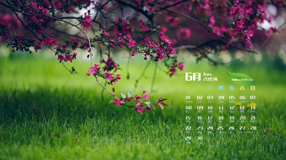 2015年6月日历壁纸精选绿色护眼简约风格好看高清图片下载5