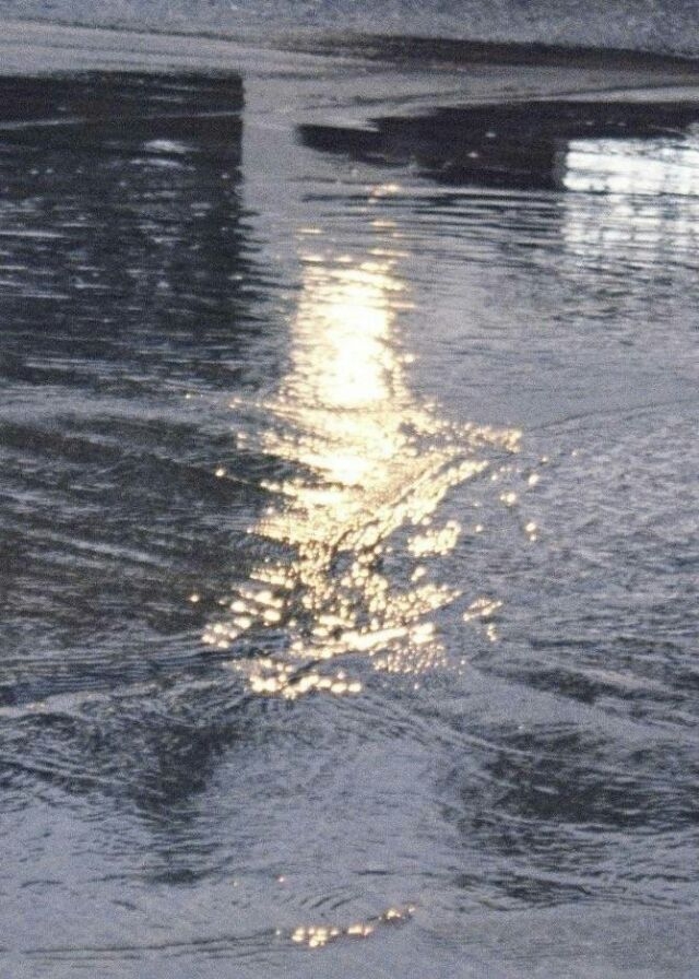 不弃  鬼畜先聲［海水冰］