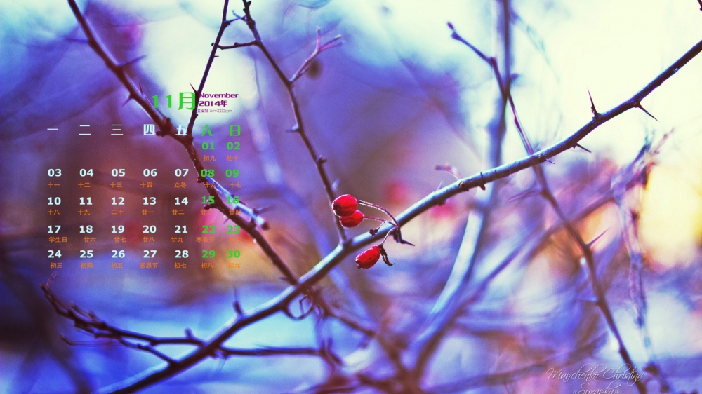 2014年11月日历唯美另类植物摄影桌面壁纸图片下载
