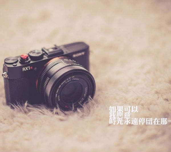 学会两个人快乐，一个人孤独。