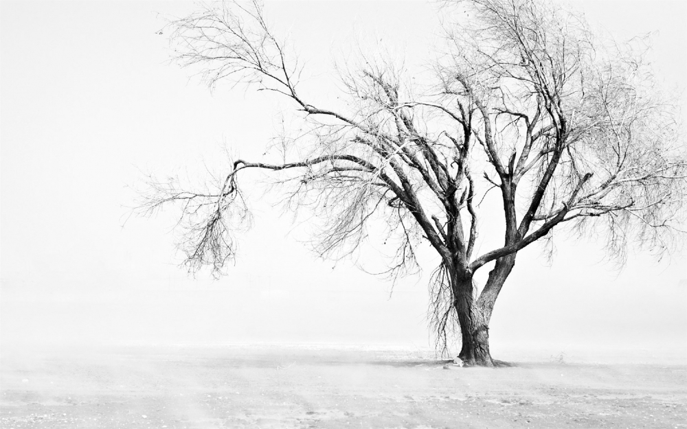 冬季高清雪景图片壁纸
