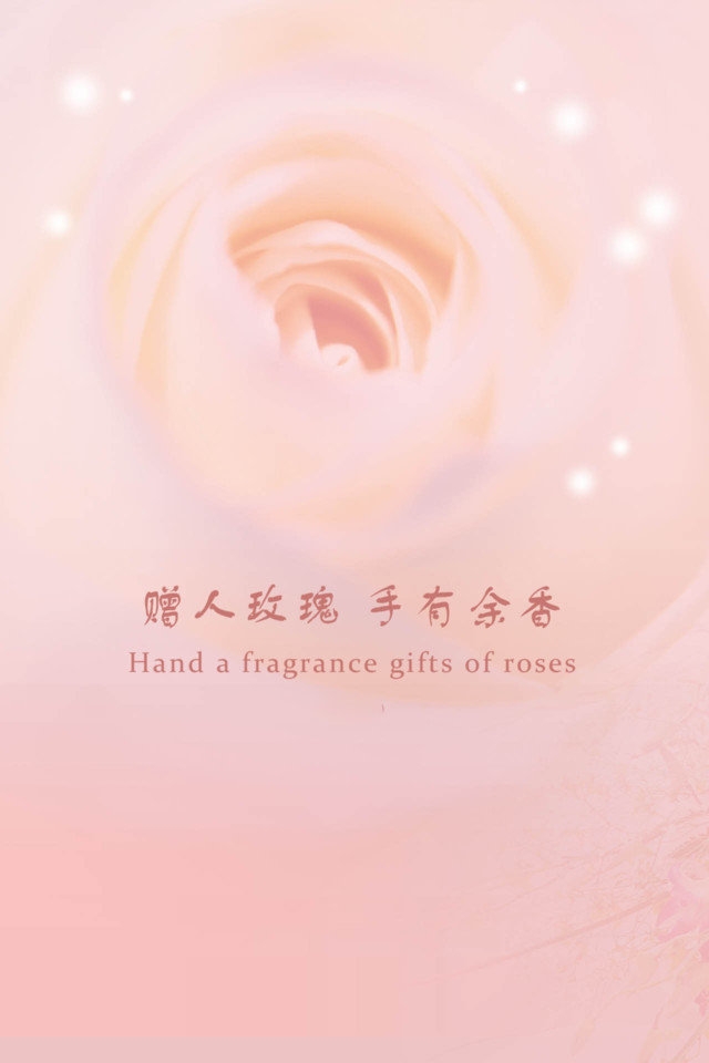 感恩节纯色主题高清手机壁纸