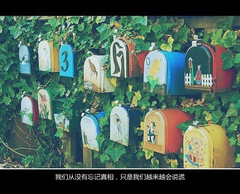 我们从没有忘记过真相，只是我们越来越会说谎