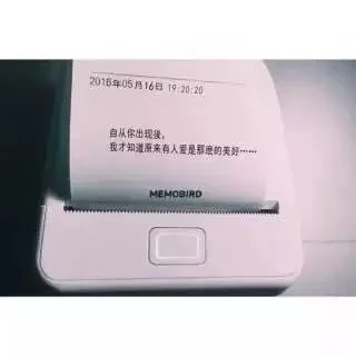 喜欢你 认真且怂 从一始终